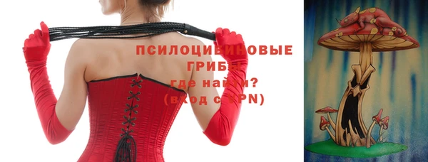дурь Балахна